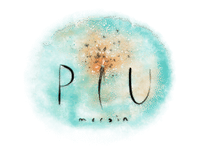 logo-piu