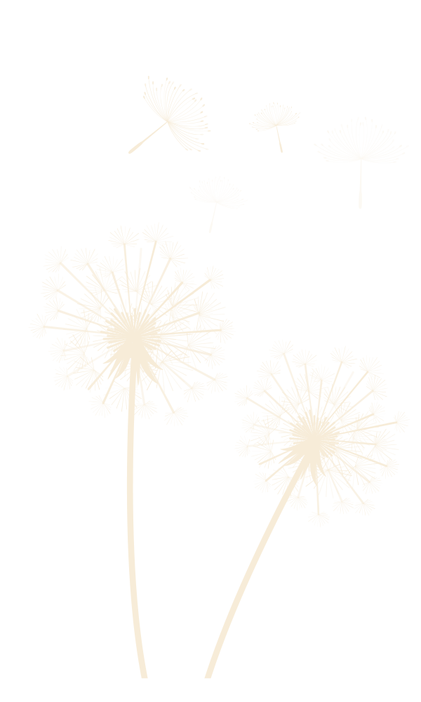 hindiba2 copy