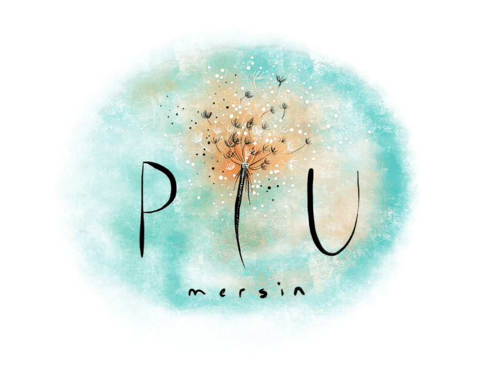 logo-piu